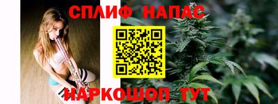 спиды Моздок