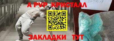 спиды Моздок