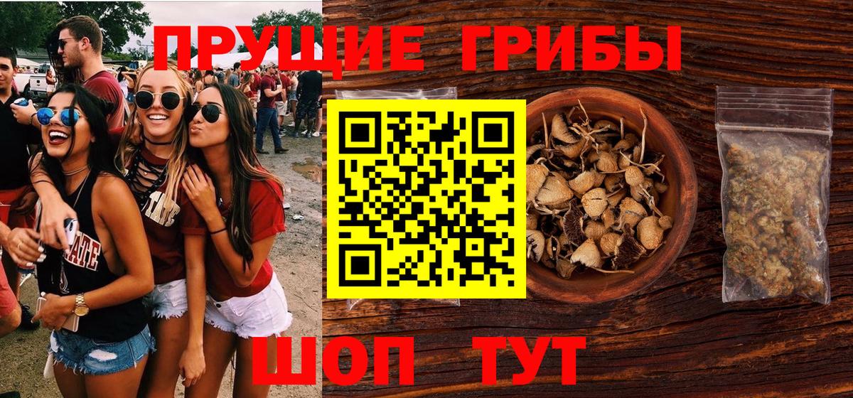 купить наркоту  Псилоцибиновые грибы мицелий  Вход с VPN  Троицк 
